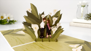 Thiệp Pop Up 3D Tình Yêu – Thiệp Chúc Mừng Lãng Mạn Kỷ Niệm Thiệp Valentine Lễ Tình Nhân Tỏ Tình