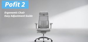Ergohuman Pofit 2 Ergonomic Full Mesh Ergonomic Office Chair