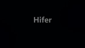 Waist Brace Lumbar Support Belt with Large Area Aluminum Support for Spine Decompression Herniated Disc Back Pain