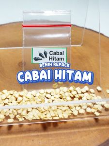 Benih Cabai Hitam Unggulan Berkualitas bibit biji repack sayur pedas pedes cabe hias hidroponik hydroponik