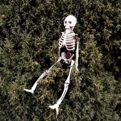 Halloween Skeleton Decoration