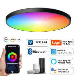 Đèn Trần LED Thông Minh Tuya WiFi 24W 220V Đèn Tròn Bluetooth Có Thể Điều Chỉnh Độ Sáng Điều Khiển Bằng Giọng Nói Cho Phòng Ngủ Phòng Khách Tương Thích Với Alexa Google Home