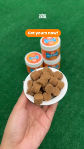 THE PERFECT PAWS HIP & JOINT CHEWS FOR DOGS