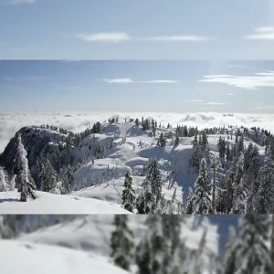 พร้อมส่ง ถ้วยกาแฟมินิ Mountainhiker 304 สแตนเลสเกรดอาหารถ้วยชาขนาดเล็ก วัสดุสแตนเลสสองชั้น หนาและป้องกันการลวก การออกแบบกลวงออก