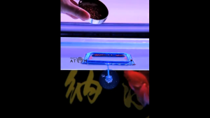 ที่ให้อาหารปลา ห่วงให้อาหารปลา ที่กักอาหารปลา ที่กั้นอาหารปลา พร้อมกับลูกยางยึดกระจก สำหรับอาหารปลาที่อนุภาคเล็ก