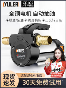 Yule Forward and Reverse Electric Pump Diesel 12v24v220v DC Petrol Pump Manual Tanker Kitchen Ventilator