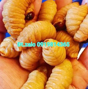 Đuông dừa tươi sống 30 con 100k. con to mập bao tươi sống được kiểm tra hàng trước khi thanh toán.