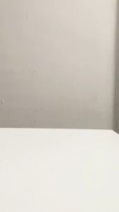 PIGEON Botol PP RP Standard Silicone Nipple 240 ML 120 ML 50 ML - Botol Susu Bayi