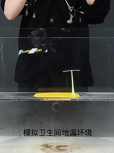 Nắp bịt miệng cống mầm cây chống mùi hôi côn trùng giữ nước hiệu quảXương Rồng Bồn Rửa Bộ Lọc Hiện Đại Đơn Giản BIGBA