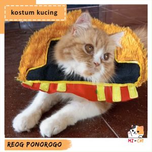 Baju Kostum Kucing Lucu Reog Ponorogo warna oren murah terlaris kekinian mi-cat 2023 - promo baju aksesoris kucing karakter gemoy anabul oyen putih sedang besar jantan betina laki laki anak anak gratis ongkir 1 set viral 2 3 6 bulan 1 tahun