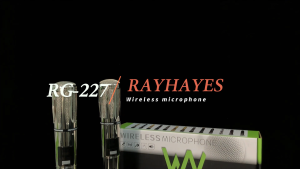RAYHAYES Professional Wireless Microphone Rechargeable Dynamic Microphone for Videoke Christmas Performance