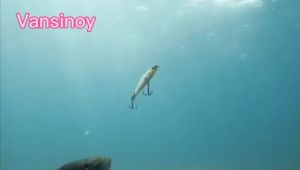 ปลา 3D 34 สี 5 กรัม 5 ซม. พร้อมตะขอ 2 ชิ้น