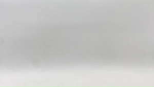 Easyprint QUAFF Laminating Film for Calling Card Paper 30microns 8.5inx100M  / 12inx100M (Matte & Glossy)