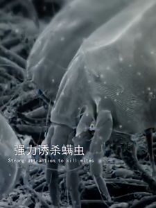 Dust Mite Trap Baits Ticks Bedding itchy eczema
