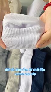 Combo 5 đôi tất nam cổ ngắn trơn gân chìm Mr.Socks chất liệu cotton cao cấp hút ẩm khử mùi NT2-FIVE-2005-CB5
