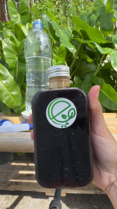 เอ็นกรีน น้ำหมัก EM5 (สุโตจู) สูตรเข้มข้น ไล่ กำจัด เเมลง หนอน เพลี้ยเเป้ง เพลี้ยไฟ ศัตรูพืชทั่วไป l Engreen