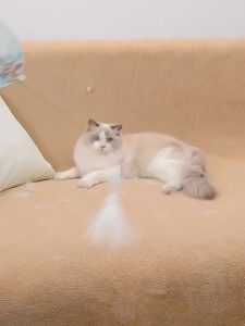 【ส่งใน24 ชม】แปรงรูดขนแมวแปรงทำความสะอาด แปรงกำจัดขนสัตว์ และกำจัดขนสัตว์เลี้ยงทำความสะอาดได้ง่าย กำจัด ขนสัตว์ที่ติดเสื้อผ้า โซฟา พรมPet hair removal brush