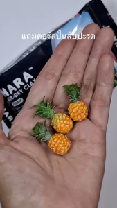 ดินไทยนารา 250g 2 ชิ้น พร้อมคอร์สปั้นสับปะรดจิ๋ว NARA Flower Clay with tutorial course