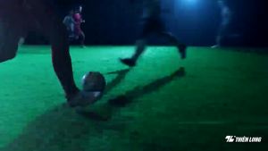 Hộp 20 Bút Bi Thiên Long TL-027 Ngòi 05mm - Bút Bi Viết Mực Xanh