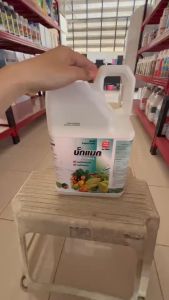 ปุ๋ยน้ำ #แมกนีเซียม คีเลต ( บั๊คแมก ) 5 ลิตร รูปคีเลต เร่งใบอ่อนให้แก่เร็ว เขียวเข้ม #แอลเจอะโกร