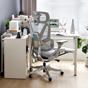 Ergonomic Office & Home Chair