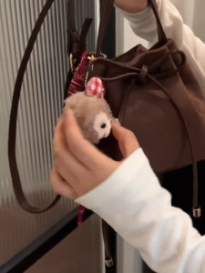 [BISA COD] 3021 Tas Behh Free Paper Bag + Tag Label  + Gantungan Boneka Tas Selempang Wanita