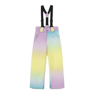 VECTOR | Waterproof Thermal Insulated Ski Pants
