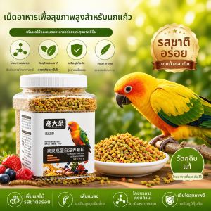 Hadassah | Nutritious Parrot Feed Small Granules Feather Beauty