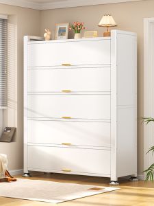 DIBIOU | Home Steel Multilevel Shoe Cabinet