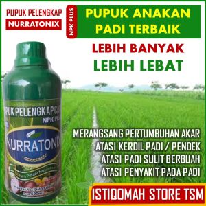 500 ML NPK NURRATONIX PUPUK PERBANYAK ANAKAN PADI TERBAIK – PUPUK NUTRISI ANAKAN PADI PALING BAGUS – OBAT ANAKAN PADI LEBIH BANYAK DAN LEBAT ASLI PALING LARIS DAN MEMPERCEPAT PERTUMBUHAN PADI Paling Bagus Tahan Musim Hujan