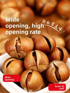 Fresh Northeast China Special Product Open Shell Large Hazelnuts Wild Iron Peak Barley Nut Tiger Skin Premium Hazelnut Snack
