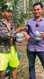 สินค้าทดลอง “พาราโกลด์” สูตร 2 บำรุงหน้ายาง น้ำยางข้น ยางออก ปลอดภัยต่อหน้ายาง ป้องกันรักษาเส้นดำ เปลือกเน่า หน้ายางแห้ง ปริมาณ 150ml.