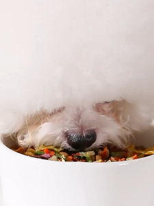 Healthy Crunchies Freeze-Dried Mixed Vegetables for All Ages Dogs – Low Fat Nutrient-Rich Treats