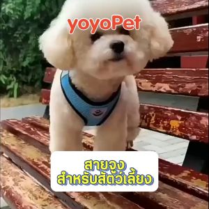 𝐩𝐞𝐭𝐦𝐞 💎 สายจูงสัตว์เลี้ยง หมา แมว สุนัข เชือกรัดสัตว์เลี้ยง ชุดสัตว์เลี้ยง เสื้อตาข่าย สายจูง มีหลายขนาดให้เลือก