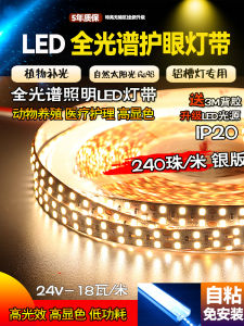 Full Spectrum 24V Low Voltage Eye Protection Natural Light Plant Supplemental Light LED Linear Lamp Strip Super Bright 240 Beads Lighting Lamp Strip