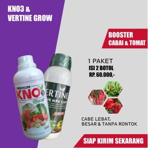 (1 PAKET 2 BOTOL) VERTINE GROW & KNO3 PREMIUM Pelebat Cabe Terbaik – Pupuk Pembesar Cabe Organik Alami Anti Rontok Bunga Daun Buah Cabe – Obat Pembesar Pelebat Cabe / Cabai Rawit  Cabai Besar Cabai Setan dll Anti Rontok dan Layu