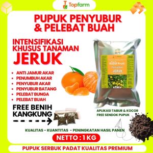Pupuk Khusus Tanaman Jeruk: Solusi Meningkatkan Hasil Panen Jeruk Anda