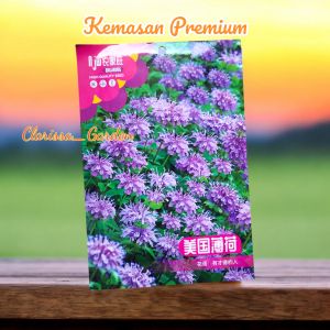 (KEMASAN PREMIUM) BIJI | BENIH TANAMAM AMERICAN MINT