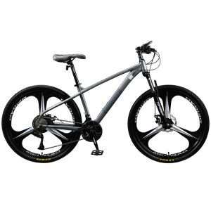 FOREVER | Shock Absorption and Variable Speed Mountain Bike