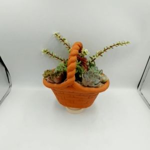 Chậu đất nung chậu sen đá - Giỏ hoa 211221 miệng chậu (dọc 21cm ngang 12cm) chiều cao 21cm