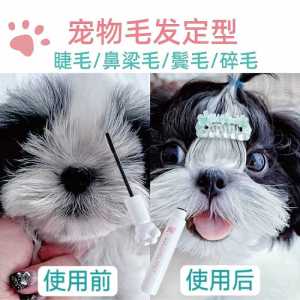 Pet Apricot Pet Hair Hair-Styling Eyelash Nose Bridge Hair Dog Hair Breaking Glue Schnauzer Xishi Wash-Free Special Hair Gel
