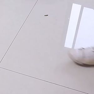 12/80pcs Shoe Wipes Shoe Cleaning Wet Tissue Wipes Quick Shine Wipes Portable Shoes Sneakers Pack