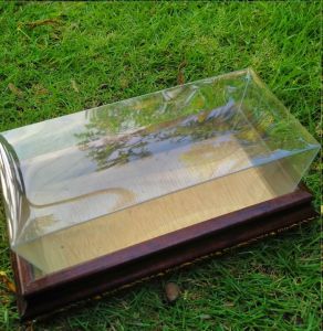 KOTAK MAHAR UANG PERNIKAHAN FIGURA