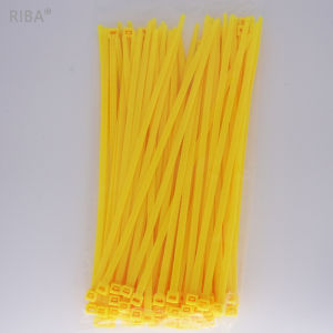 สายรัดไนลอนหลากสี 5200 แบบปกติ ขนาด 48 มม พร้อมหัวล็อค สายคล้อง ตัว โปรโมชั่น อุปกรณ์สำนักงาน สายรัดเคเบิล