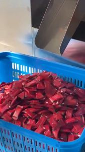 20 Mini Compressed Towels: Portable Disposable Compressed Cotton Coin Paper Towels Suitable for Travel, Camping, Hiking, Sports, Beauty Salon, and Home Towels