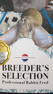 Breeders Selection Professional Rabbit Food 2KG