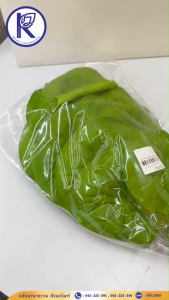 ✨ ใบบัวพร้อมก้านสำเร็จรูป/ใบบัวปลอม/ใบบัวเทียม (เล็ก/ใหญ่) | คลังนานาธรรม สังฆภัณฑ์