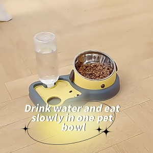 3 in 1 Pet Bowl with slow bowl and Automatic water dispenser