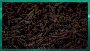 CLOVE / BUNGA CENGKIH / KIRAMBU 50G-100G-200G(PREMIUM QUALITY)