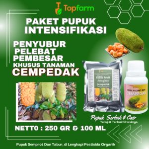 Pupuk Nangka Cempedak & Pupuk Booster Nangka\\n\\n Apa itu Pupuk Nangka Cempedak?\\nPupuk Nangka Cempedak adalah produk pupuk berkualitas tinggi yang dirancang khusus untuk pertumbuhan optimal tanaman nangka dan cempedak. Dengan menggunakan teknologi INTENSIFIKASI terkini dari TopFarm, Pupuk Nangka Cempedak memberikan nutrisi maksimal bagi tanaman nangka dan cempedak, serta meningkatkan hasil panen.\\n\\n Kelebihan dan Keunggulan Pupuk Nangka Cempedak\\nPupuk Nangka Cempedak memiliki beberapa kelebihan dan keunggulan, yaitu:\\n\\n- Teknologi INTENSIFIKASI: Inovasi mutakhir TopFarm untuk memberikan nutrisi maksimal kepada tanaman nangka dan cempedak, mengoptimalkan pertumbuhan dan hasil panen.\\n- Formula Pupuk Serbuk dan Cair: Menggabungkan pupuk serbuk dan cair untuk memberikan nutrisi yang seimbang, meningkatkan penyerapan tanaman, dan memaksimalkan hasil panen.\\n\\n Cara Kerja Pupuk Nangka Cempedak\\nFormula Pupuk Serbuk dan Cair digunakan untuk memberikan nutrisi yang seimbang, meningkatkan penyerapan tanaman, dan memaksimalkan hasil panen. Teknologi INTENSIFIKASI yang digunakan dalam Pupuk Nangka Cempedak juga membantu tanaman nangka dan cempedak tumbuh lebih cepat dan sehat.\\n\\n Manfaat Pupuk Nangka Cempedak untuk Tanaman\\nPupuk Nangka Cempedak memiliki manfaat yang signifikan bagi tanaman nangka dan cempedak, yaitu:\\n\\n- Memberikan nutrisi yang seimbang bagi tanaman nangka dan cempedak.\\n- Meningkatkan pertumbuhan dan hasil panen tanaman nangka dan cempedak.\\n- Membantu tanaman nangka dan cempedak tumbuh lebih cepat dan sehat.\\n\\n Cara Aplikasi Pupuk Nangka Cempedak\\nUntuk mendapatkan hasil panen yang maksimal, aplikasikan Pupuk Nangka Cempedak sesuai dengan petunjuk penggunaan yang disertakan dalam kemasan. Pastikan tanaman nangka dan cempedak mendapatkan nutrisi yang cukup dan seimbang.\\n\\n Keuntungan Menggunakan Pupuk Nangka Cempedak\\nPupuk Nangka Cempedak dapat membantu Anda mendapatkan hasil panen yang lebih baik dan meningkatkan produktivitas tanaman Anda. Dengan menggunakan Pupuk Nangka Cempedak, Anda dapat yakin bahwa tanaman nangka dan cempedak Anda mendapatkan nutrisi yang optimal.\\n\\n Jaminan Kualitas Pupuk Nangka Cempedak\\nTopFarm menjamin kualitas Pupuk Nangka Cempedak dengan memberikan garansi penggantian 100% jika produk rusak atau pecah. Pastikan untuk mengirimkan video unboxing kepada admin TopFarm melalui chat untuk mendapatkan jaminan ini.\\n\\n Testimoni Pengguna Pupuk Nangka Cempedak\\nBanyak petani telah menggunakan Pupuk Nangka Cempedak dan mendapatkan hasil panen yang maksimal. Berikut ini adalah beberapa testimoni pengguna Pupuk Nangka Cempedak:\\n\\n- \\\"Pupuk Nangka Cempedak benar-benar membantu tanaman nangka saya tumbuh lebih cepat dan sehat.\\\" - Pak Ahmad\\n- \\\"Hasil panen saya meningkat setelah menggunakan Pupuk Nangka Cempedak.\\\" - Bu Siti\\n\\nDengan menggunakan Pupuk Nangka Cempedak, Anda dapat yakin bahwa tanaman nangka dan cempedak Anda mendapatkan nutrisi yang optimal dan hasil panen yang maksimal.\\